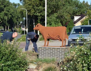 The Spinder cow is excavated in Harkema.