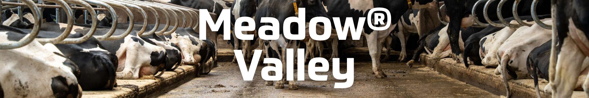 Meadow Valley