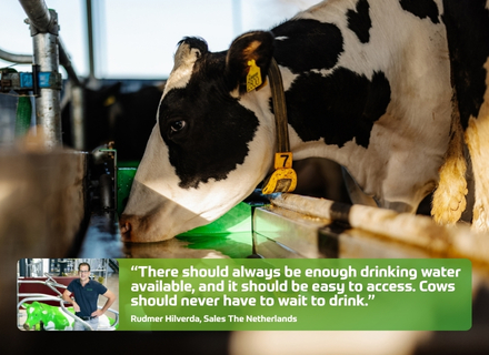 Dairy cattle drinking behaviour: preventing heat stress