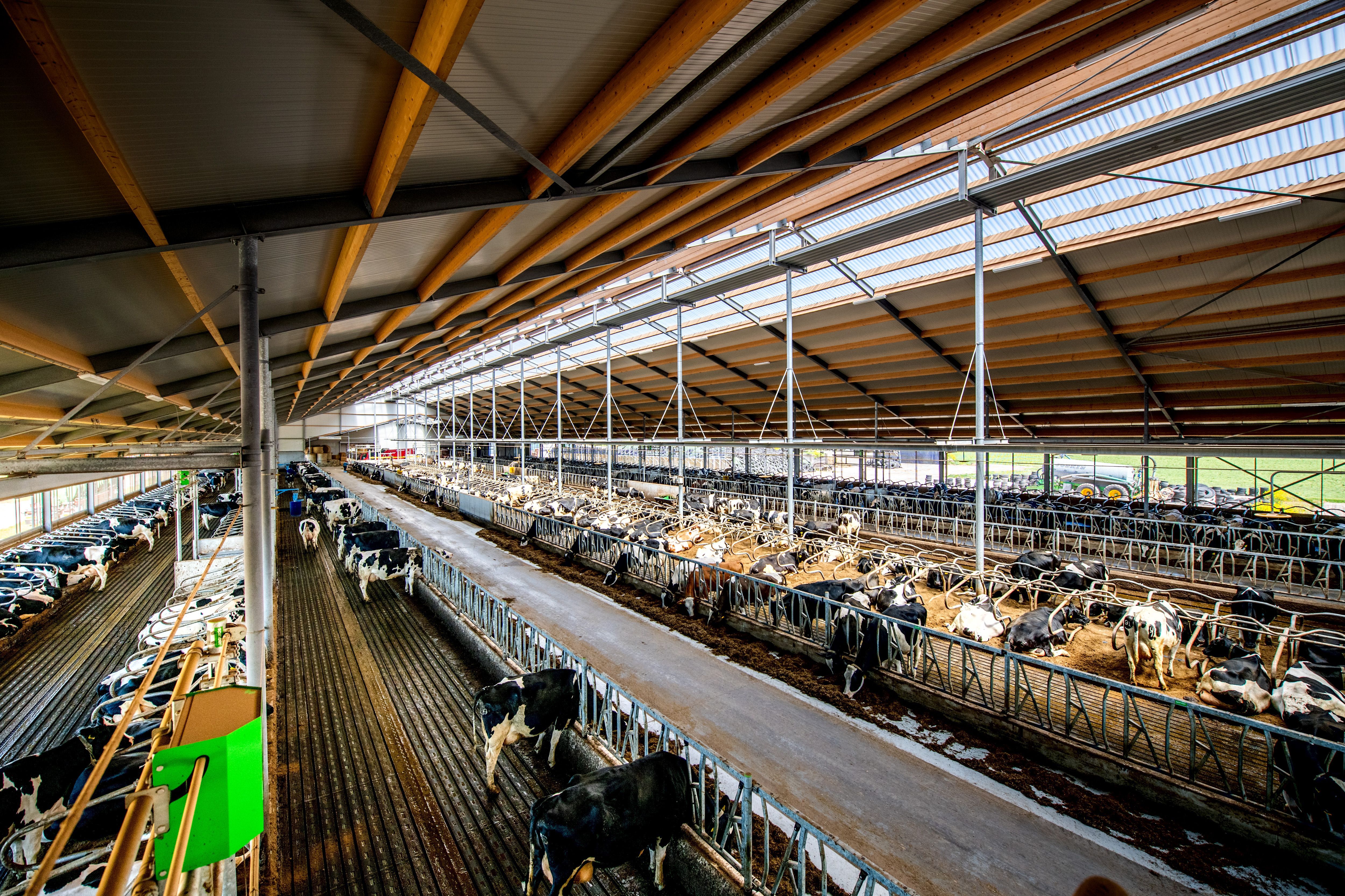 Efficient cow traffic example