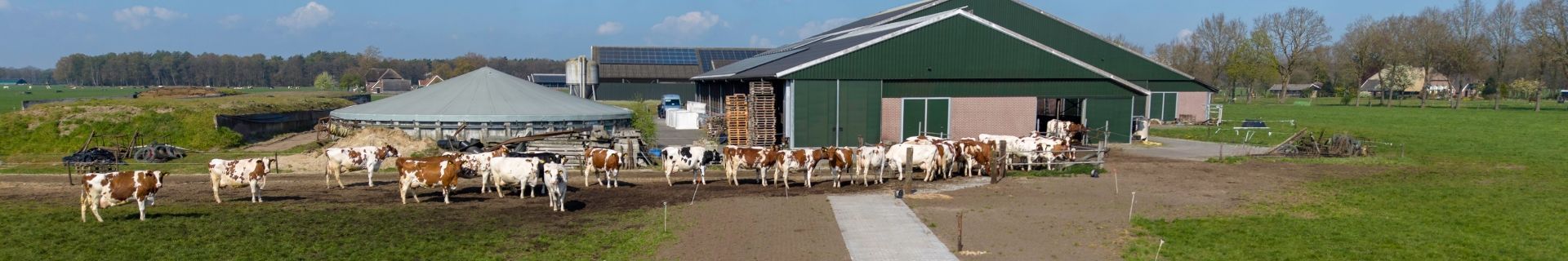Renovation dry cows Klein Hegeman