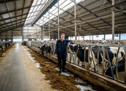Working efficiently at dairy farm Van der Wal in Boornbergum