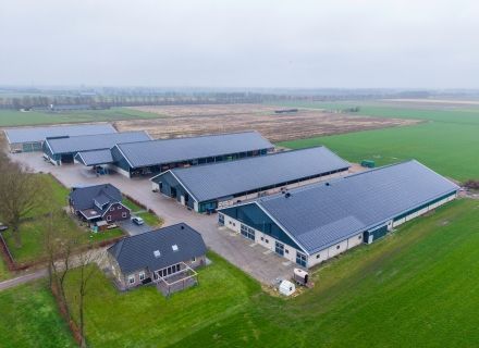 Youngstock barn Vroege